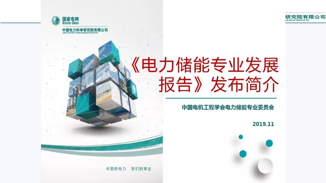 电力储能专业发展报告
